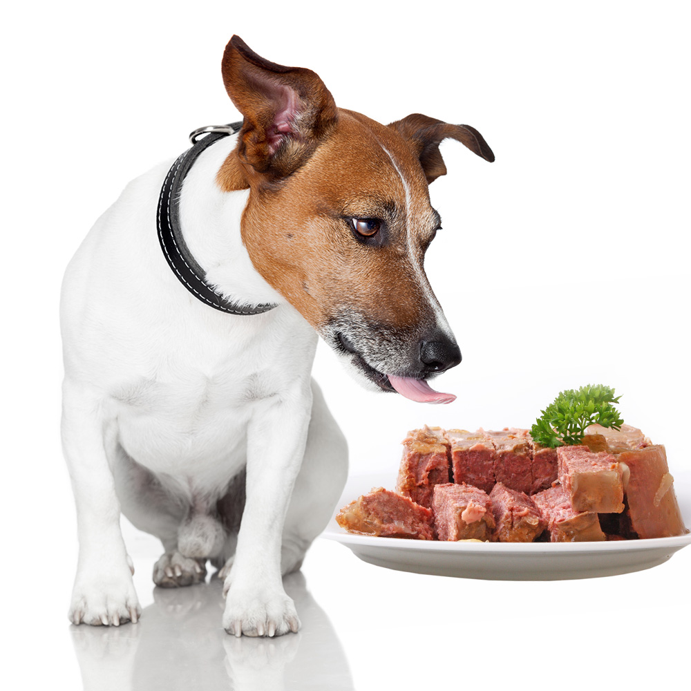 Hundefutter Ratgeber für die ideale Hundeernährung - HunDefutter Nass ZoohelD
